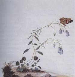 Botanist : I: The Suicide Tree - II: a Rose from the Dead